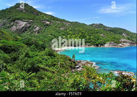 Mahé l'île, Anse grand sentier nature, Seychelles Banque D'Images