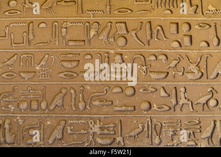 Close up of Old Kingdom linteau, mastaba champ à la nécropole de Sakkarah aussi connu sous le nom de Saqqara Égypte Banque D'Images