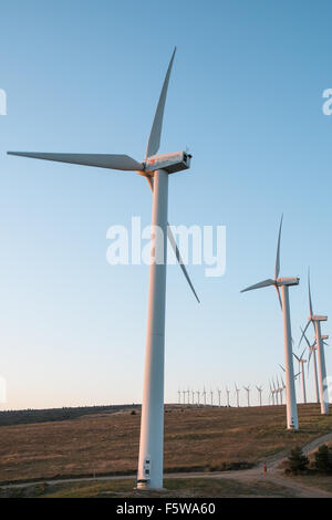 Éoliennes au coucher du soleil au-dessus de Roquetaillade Alet-les-Bains, au sud de Limoux dans l'Aude,France,France.Aude,la plupart des éoliennes en France. Banque D'Images