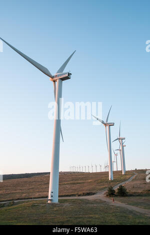 Éoliennes au coucher du soleil au-dessus de Roquetaillade Alet-les-Bains, au sud de Limoux dans l'Aude,France,France.Aude,la plupart des éoliennes en France. Banque D'Images