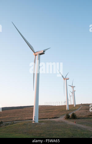 Éoliennes au coucher du soleil au-dessus de Roquetaillade Alet-les-Bains, au sud de Limoux dans l'Aude,France,France.Aude,la plupart des éoliennes en France. Banque D'Images