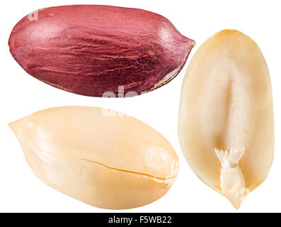 Pelé et ouvert les arachides. Le fichier contient trois chemins de détourage. Banque D'Images