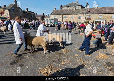 A en juger à l'assemblée annuelle, juste des moutons Masham North Yorkshire, Royaume-Uni, Septembre 2015 Banque D'Images