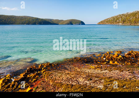 Fortescue Bay dans la région de Tasman National Park. Banque D'Images