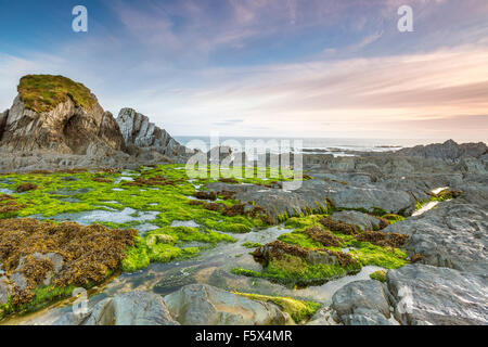 La bouche de Bennett, Mortehoe, North Devon, Angleterre, Royaume-Uni, Europe. Banque D'Images