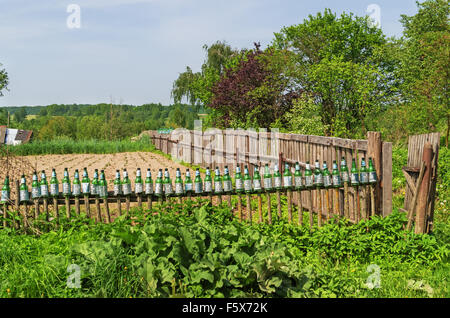 Bouteilles en plastique vert sur une cuisine jardin clôture. Banque D'Images