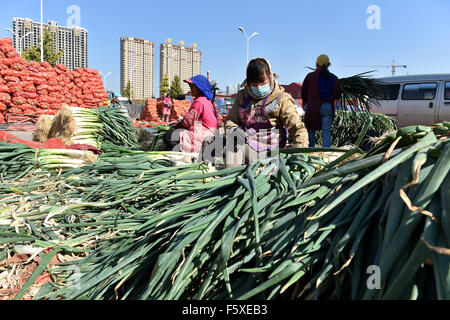 Taiyuan, la province de Shanxi. 27 Oct, 2015. Un concessionnaire vend des légumes chinois à l'oignon vert un marché à Taiyuan, capitale du nord La province de Shanxi, le 27 octobre 2015. L'indice des prix à la consommation (IPC), principal indicateur de l'inflation, a progressé de 1,3  % sur un an en octobre, le Bureau national des statistiques (NBS) a déclaré mardi. La plus faible que prévu de la lecture est ralentie, passant de 1,6  % à l'avoir en septembre et 2 pour cent en août. Sur une base mensuelle, les prix à la consommation ont diminué de 0,3 pour cent. © Zhan Yan/Xinhua/Alamy Live News Banque D'Images