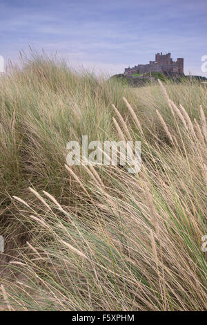 Château de Bamburgh de dunes de sable de plage de Bamburgh, Bamburgh, Northumberland, Angleterre Banque D'Images