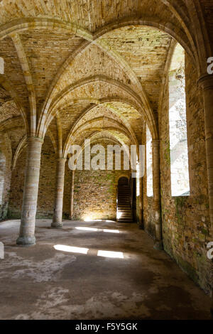 L'Angleterre, Hastings, Battle Abbey. Intérieur de la chambre voûtée sous couchage moines hall. Vue sur le mur et les colonnes avec des voûtes en briques. Banque D'Images