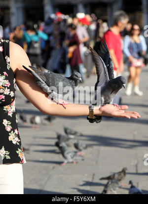 Pigeons sur une jeune femme le bras en place Saint Marc à Venise, Italie Banque D'Images