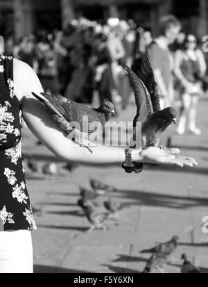 Pigeons sur une jeune femme le bras en place Saint Marc à Venise, Italie Banque D'Images