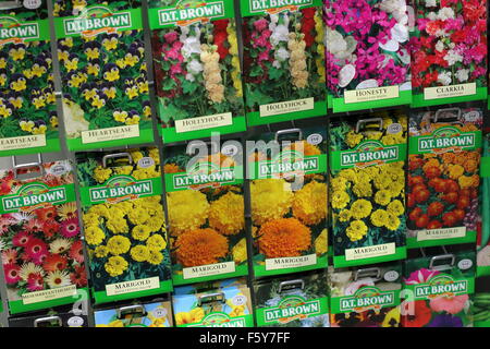 Des graines de fleurs à vendre en paquets Banque D'Images