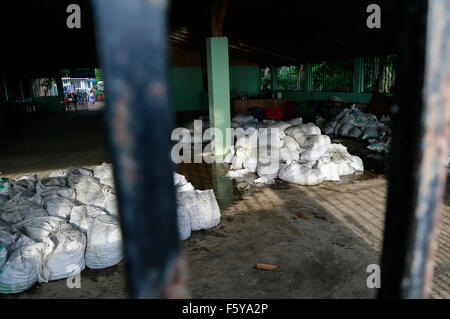 (151110) -- Playa Ostional, 10 novembre 2015 (Xinhua) -- Image prise le 7 novembre 2015 montre des centaines de milliers d'oeufs de tortues olivâtres en attente d'être expédiés et vendus par l'Association de développement intégral Ostional (OIDA) sur Playa Ostional, 183 milles au nord-ouest de la capitale, San Jose, Costa Rica. Plus d'un quart de million de tortues olivâtres avaient débarqué en réagissant tardivement lundi matin pour nicher à Playa Ostional du Costa Rica sur la côte Pacifique nord. C'était la treizième année et cette masse de samedi du nombre d'arrivées a été probablement la plus grande pour un seul jour au cours des dernières années, Banque D'Images