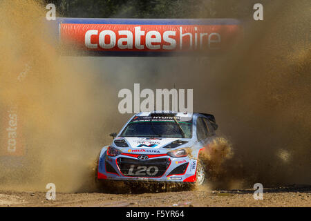 Dimanche, 13 Septembre, 2015. Coffs Harbour, Australie. Étape 17. Chauffeur Thierry Neuville, Hyundai Motorsport World Rally Banque D'Images