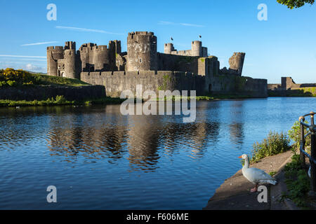 Château de Caerphilly dans la faible lumière du soir reflétée dans les douves, une oie sur la banque, Caerphilly, Wales, UK Banque D'Images