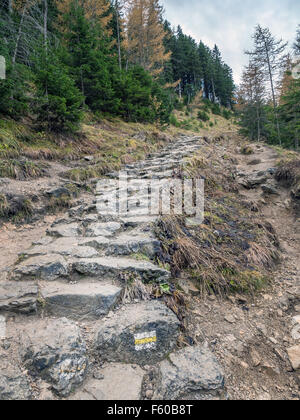 Sentier touristique alpin à Zdiar, Pologne Banque D'Images