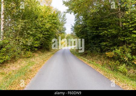 Empty country road à la jonction des Prästväg Ängars Skallsjö et Skallsjö väg, Floda, Suède modèle libération : N° des biens : Non. Banque D'Images