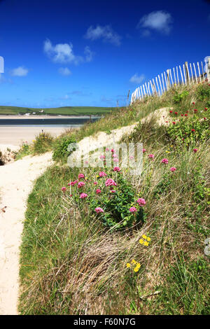 Vue sur l'estuaire de Camel de St Enodoc, Cornwall. Banque D'Images