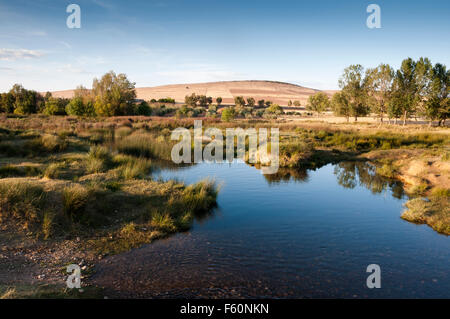 Le Cid à sa rivière traverser Porzuna, La Mancha, Ciudad Real, Espagne Banque D'Images