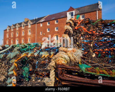 Des casiers à homard au port dans le village de pêcheurs de North Berwick, East Lothian, en Ecosse. Banque D'Images