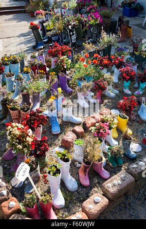 L'welly boot jardin dans le village de pêcheurs de St Monans dans l'East Neuk de Fife, Scotland, UK Banque D'Images