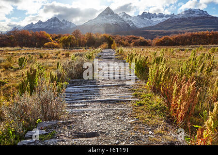 Chemin à travers bog, Parc National Tierra del Fuego, Argentina Banque D'Images