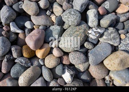 Différentes pierres sur la mer Baltique, Ahrenshoop, Fischland, Fischland-Zingst, Mecklembourg-Poméranie-Occidentale, Allemagne Banque D'Images