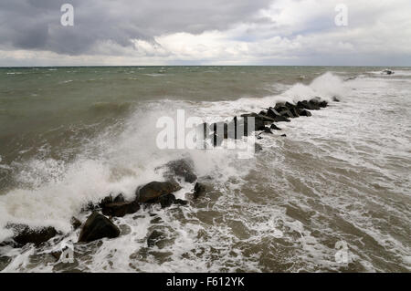 Le brise-lames de la plage, une mer de Wustrow, Mecklembourg-Poméranie-Occidentale, Allemagne Banque D'Images