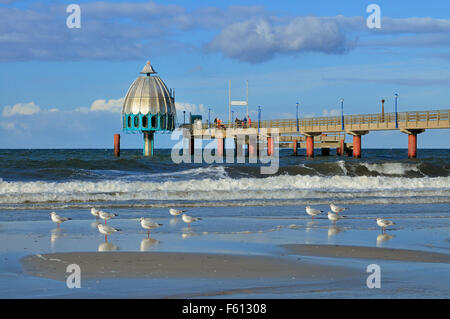 Plongée sous-marine, gondole, pairs Zingst Fischland-darss-Zingst, Mecklenburg-Vorpommern, Allemagne Banque D'Images