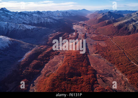 Vue aérienne de tourbière, Tierra del Fuego National Park, l'Argentine Banque D'Images