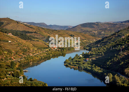 Vignobles de la vallée du Douro au coeur de la région viticole du Haut-Douro (patrimoine mondial de l'UNESCO, Site), Porto e Norte, Portugal Banque D'Images