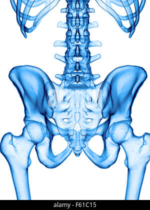 Illustration de l'exacte médicalement hip Banque D'Images