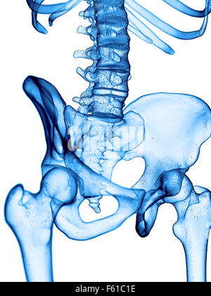 Illustration de l'exacte médicalement hip Banque D'Images