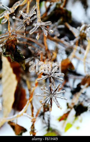 Beijing, Beijing, Chine, du RCS. 10 Nov, 2015. Beijing, Chine - le 6 novembre 2015 : (usage éditorial uniquement. Chine OUT) Première neige couverts Yan Montagne. © SIPA Asie/ZUMA/Alamy Fil Live News Banque D'Images