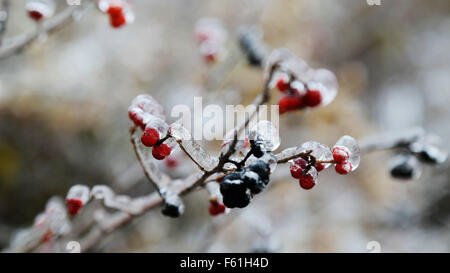 Beijing, Beijing, Chine, du RCS. 10 Nov, 2015. Beijing, Chine - le 6 novembre 2015 : (usage éditorial uniquement. Chine OUT) Première neige couverts Yan Montagne. © SIPA Asie/ZUMA/Alamy Fil Live News Banque D'Images