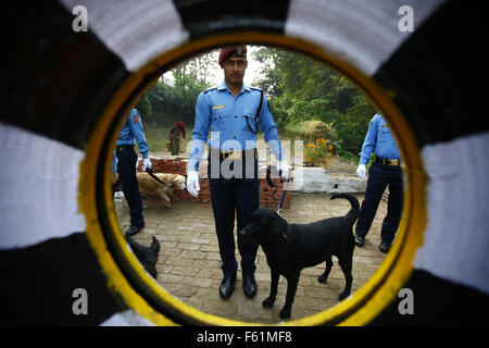 Katmandou, Népal. 10 Nov, 2015. Katmandou, Népal. 10 Nov, 2015. Agent de police népalais se tiennent près de leurs chiens pendant le chien festival dans le cadre de célébrations de la Police centrale de Tihar École de formation de chien. Tous les hindous sur le Népal célèbrent le festival Tihar, également appelée Diwali, pendant qu'ils adorent les vaches, qui sont considérés comme une figure maternelle, et d'autres animaux. Aussi connu comme le festival des lumières, les dévots adorent aussi la déesse de la richesse Laxmi en éclairant et en décorant leurs maisons à l'aide de guirlandes, lampes à huile, bougies et des ampoules colorées. © ZUMA Press, Inc./Alamy Banque D'Images