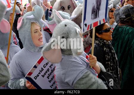 Marche Mondiale pour les éléphants et rhinocéros. Démo à Londres , 96 personnes s'habillent de costumes d'éléphants qui représente l'estimation du nombre d'éléphants tués chaque jour en Afrique pour leur ivoire, soulignant la nécessité d'agir pour sauver les espèces menacées. D'interieurélectronique Banque D'Images