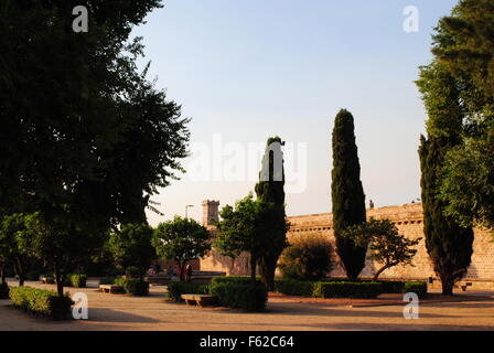 Jardins près de château de Montjuic, Barcelone, Espagne Banque D'Images