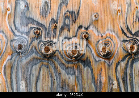 Close-up of historic Thomas Murphy barn siding ; rare modèle de noeuds ; Moulton Homestead ; Parc National de Grand Teton, Wyoming Banque D'Images