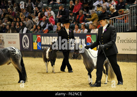 Horse Show de l'année 2015 au NEC de Birmingham comprend : Atmosphère Où : Birmingham, Royaume-Uni Quand : 07 Oct 2015 Banque D'Images