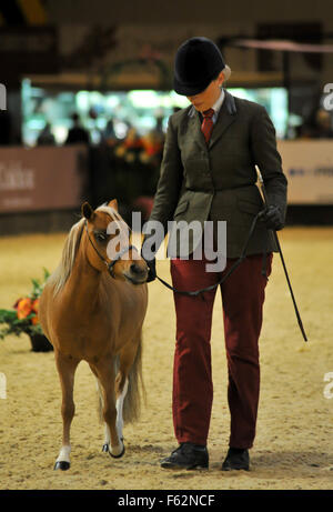 Horse Show de l'année 2015 au NEC de Birmingham comprend : Atmosphère Où : Birmingham, Royaume-Uni Quand : 07 Oct 2015 Banque D'Images