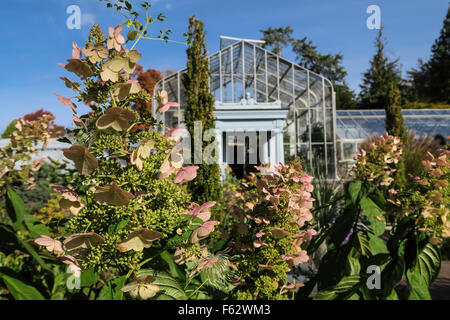 Marco Polo Stufano Conservatory à Wave Hill Jardin Public dans le Bronx, New York, USA Banque D'Images