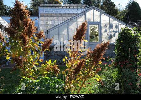 Marco Polo Stufano Conservatory à Wave Hill Jardin Public dans le Bronx, New York, USA Banque D'Images