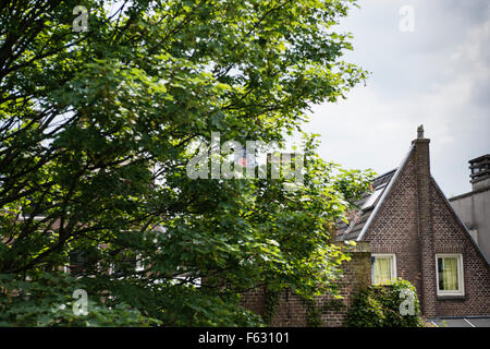 1 juin 2014, Amsterdam, Pays-Bas, l'horloge de la Westertoren tout juste visible dans le vert de l'intérieur de jardins du Anjelie Banque D'Images