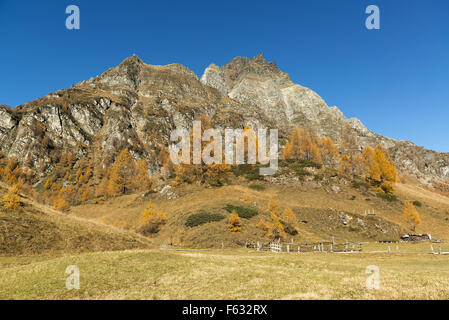 Couleurs d'automne à l'Alp Devero dans un bel après-midi près du village de Crampiolo, Piémont - Italie Banque D'Images