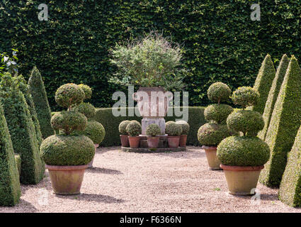 East Ruston Old Vicarage gardens, Norwich, Norfolk, Royaume-Uni. Dans l'art topiaire formel soigné Jardin hollandais Banque D'Images