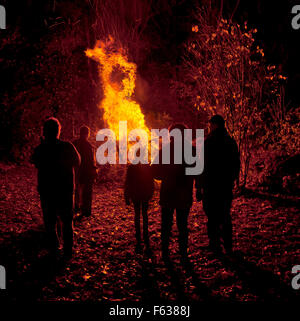 Groupe de feu de joie. Banque D'Images