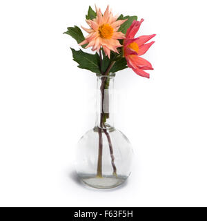 Dahlia dans vintage vase isolé sur fond blanc Banque D'Images