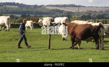 À partir de la BBC Countryfile Adam Henson retourne à son travail à la ferme, après son père, Joe Henson, est mort 3 jours plus tôt. Joe Henson avait créé la désormais célèbre Cotswold Farm Park en 1971. Avec : Adam Henson Où : Cheltenham, Royaume-Uni Quand : 09 Oct 201 Banque D'Images