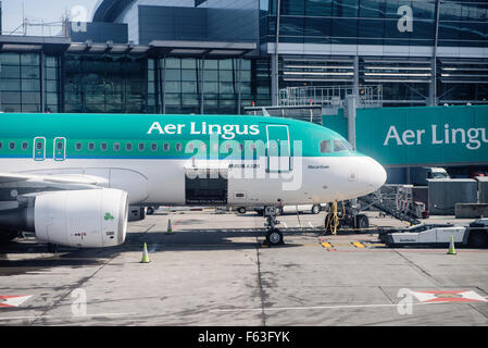 Aer Lingus Airbus A320-214 EI-DEN à l'enregistrement à l'aéroport de Dublin Banque D'Images